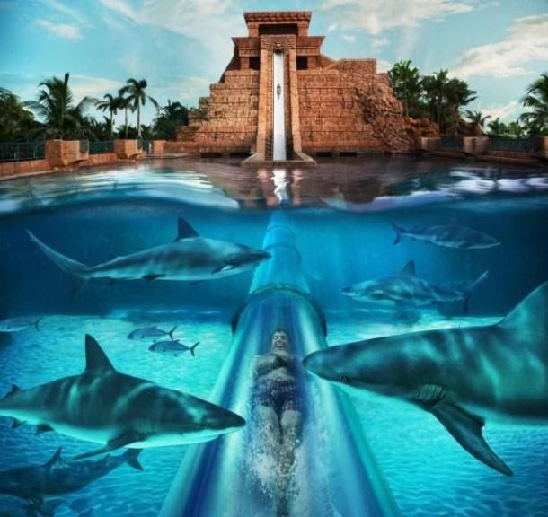 Traveling Through The Bahamas Island To Island